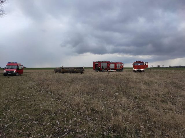 Kilka zastępów straż pożarnej walczy z pożarem traw (zdjęcia)