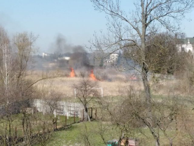 Strażacy gasili pożar traw przy ul. Głuskiej (zdjęcia)