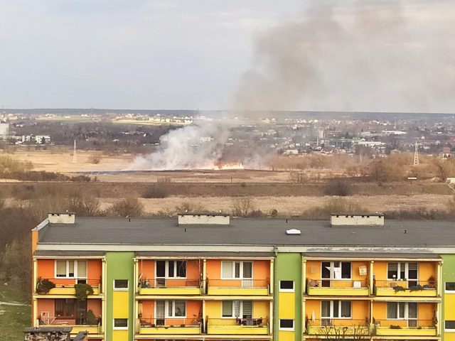 Duży pożar traw w rejonie ul. Turystycznej (zdjęcie)