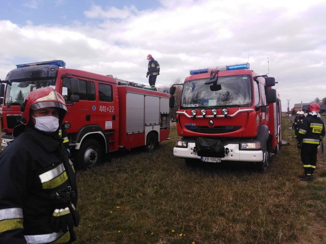 Krowa wpadła do torfowiska. Na ratunek ruszyli strażacy (zdjęcia)