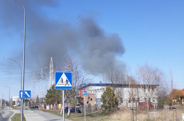 Z kilku stron Lublina płoną trawy. Trzy pożary na terenie miasta, czwarty tuż obok (zdjęcia)