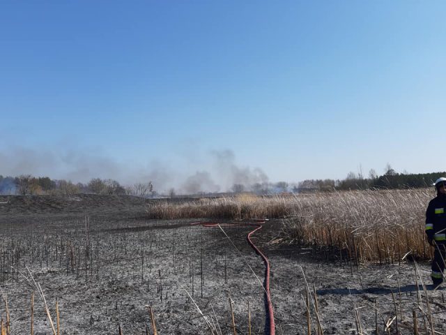 Kilkanaście zastępów straży pożarnej gasiło pożar koło Opola Lubelskiego. Dym widać było z kilku kilometrów (zdjęcia)