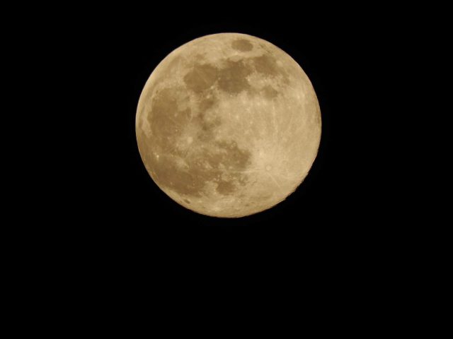 Dzisiejszej nocy warto spojrzeć w niebo. Księżyc jest najjaśniejszy w tym roku (zdjęcia)