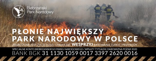 Ogromny pożar w Biebrzańskim Parku Narodowym. Sytuacja jest dramatyczna, trwa zbiórka funduszy na walkę z żywiołem (wideo)