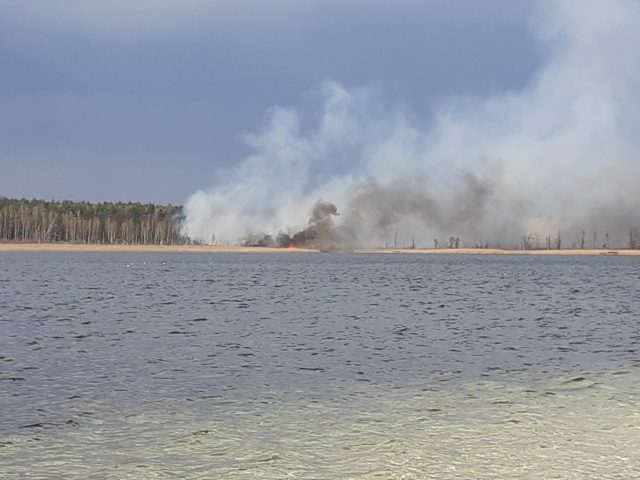 Strażacy walczą z pożarami lasów i traw w regionie (wideo, zdjęcia)