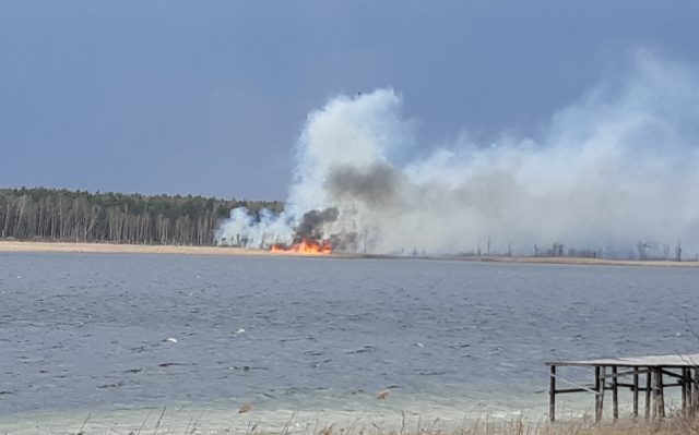 Strażacy walczą z pożarami lasów i traw w regionie (wideo, zdjęcia)