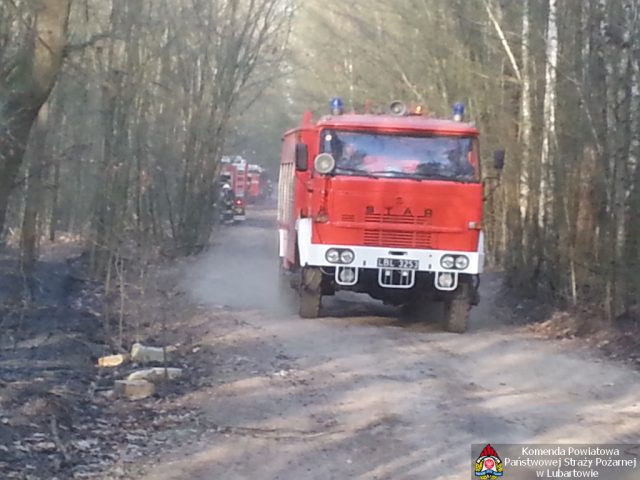 Strażacy przez trzy dni walczyli z pożarem lasu na powierzchni kilku hektarów (zdjęcia)