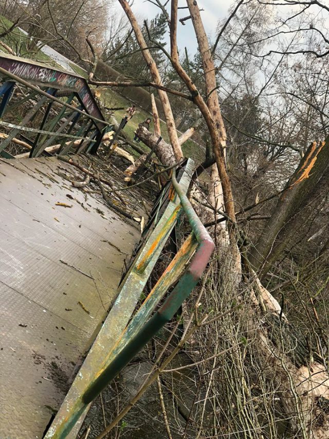 Sygnał od Czytelniczki. Duże drzewo runęło na most nad Bystrzycą (zdjęcia)