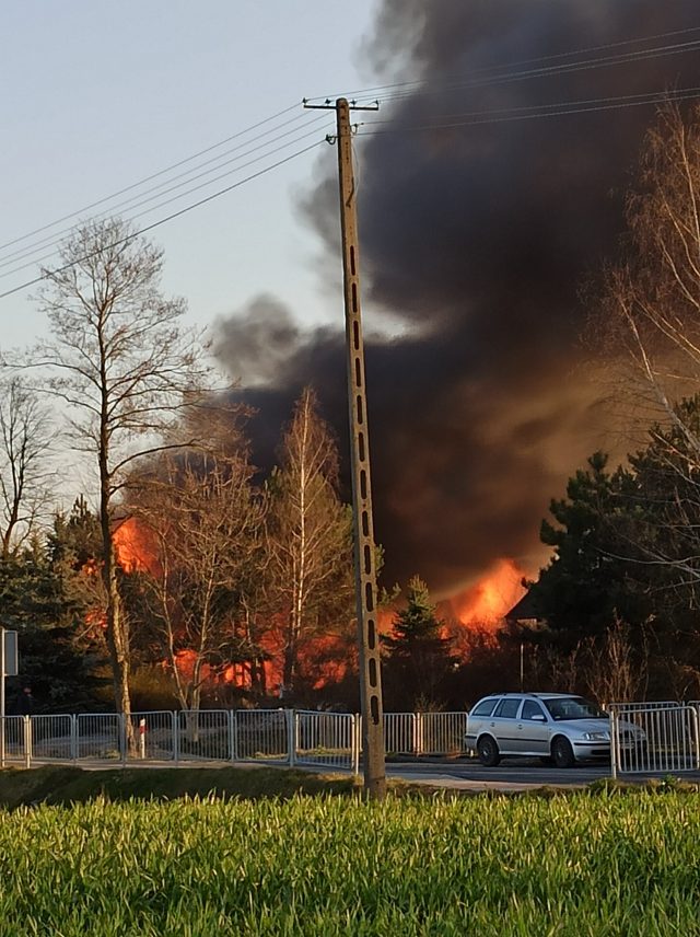 Kilkudziesięciu strażaków walczy z pożarem w Rozkopaczewie (zdjęcia)