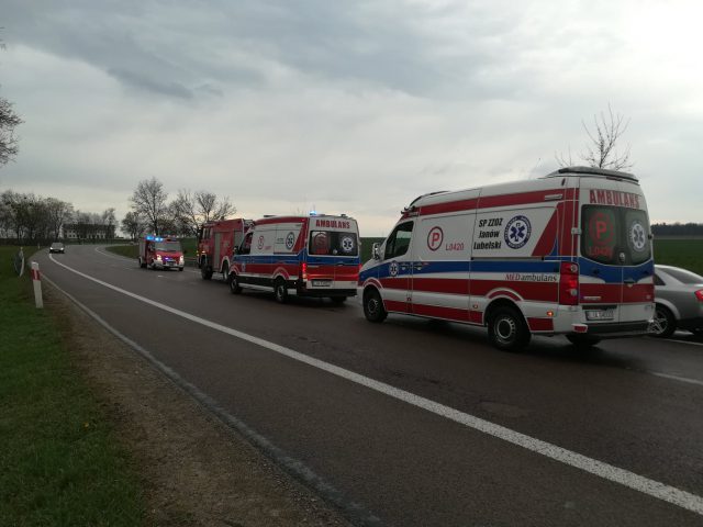 Wypadek na drodze krajowej nr 19. Utrudnienia w ruchu na trasie Janów Lubelski – Kraśnik (zdjęcia)