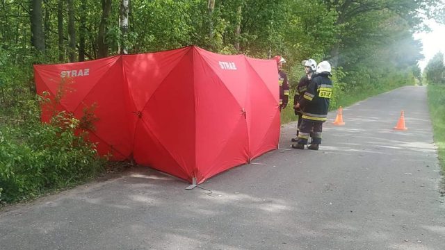 Tragiczny wypadek w powiecie radzyńskim. Nie żyje jedna osoba (zdjęcia)