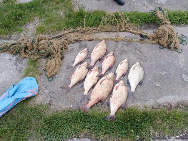Kłusownicy w potrzasku. Mężczyźni prowadzili nielegalny połów ryb na Wiśle (zdjęcia)