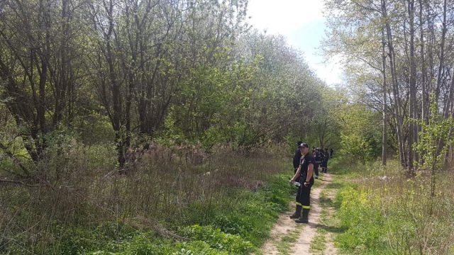 Kolejny dzień poszukiwań zaginionego mieszkańca Lublina. Służby ponownie skupiły się na lesie (zdjęcia)