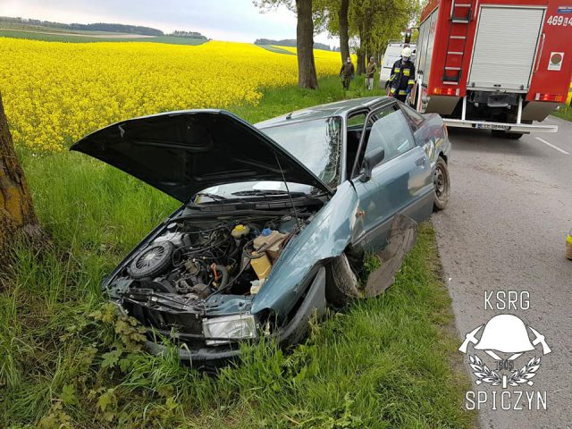 Audi wypadło z drogi i uderzyło w drzewo. Kierowca trafił do szpitala (zdjęcia)