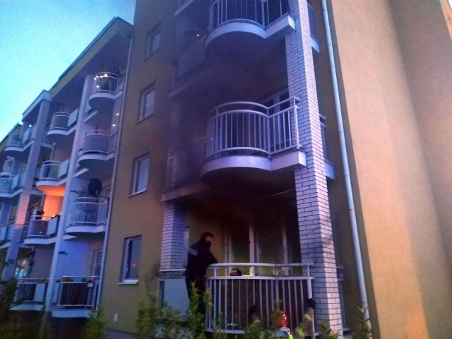 Z sąsiedniego bloku zauważyła płomienie w mieszkaniu. Paliło się w kuchni, strażacy ewakuowali kota (zdjęcia)