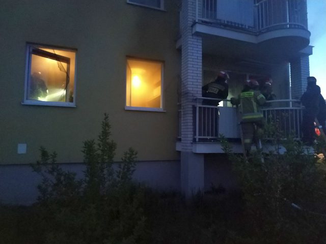 Z sąsiedniego bloku zauważyła płomienie w mieszkaniu. Paliło się w kuchni, strażacy ewakuowali kota (zdjęcia)