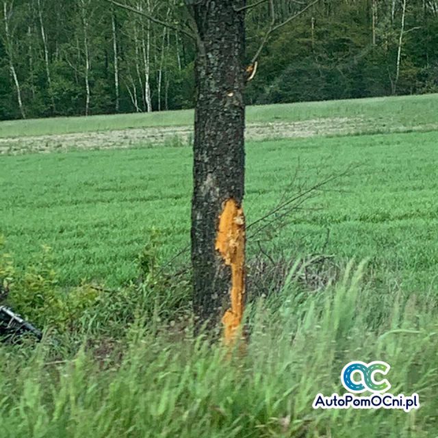 Motocyklista uderzył w drzewo. Jego życia nie udało się uratować (zdjęcia)