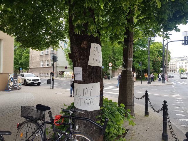 Nie ustaje walka o ocalenie drzew w centrum Lublina. Jednej z lip nadano imię Krzysztof (zdjęcia)