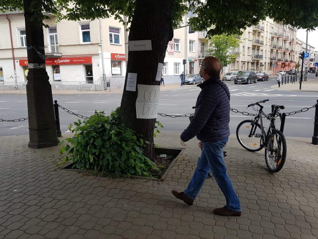 Nie ustaje walka o ocalenie drzew w centrum Lublina. Jednej z lip nadano imię Krzysztof (zdjęcia)