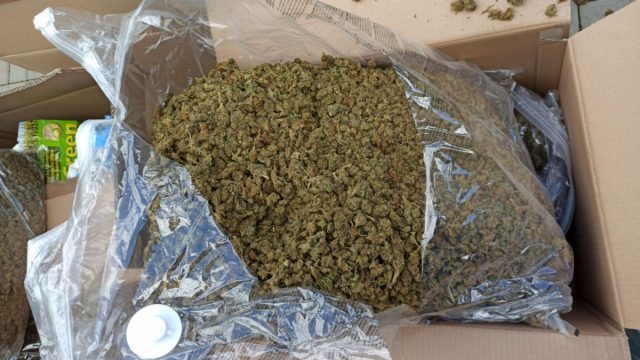 W pojeździe dostawczym miał blisko 100 kg marihuany. Zatrzymali go lubelscy policjanci (wideo, zdjęcia)
