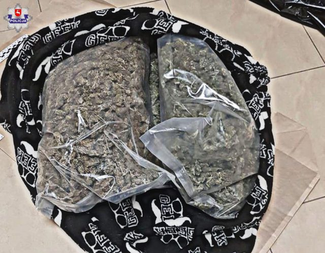 Są zarzuty dla lubelskich pseudokibiców. Przewozili 3 kg marihuany, uciekali przed policją (zdjęcia, wideo)