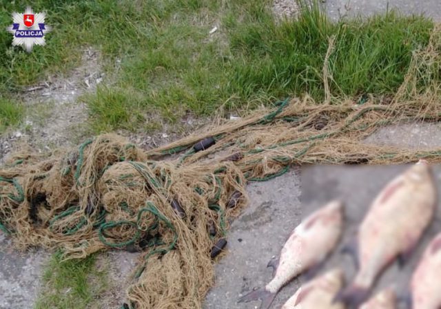 Kłusownicy w potrzasku. Mężczyźni prowadzili nielegalny połów ryb na Wiśle (zdjęcia)