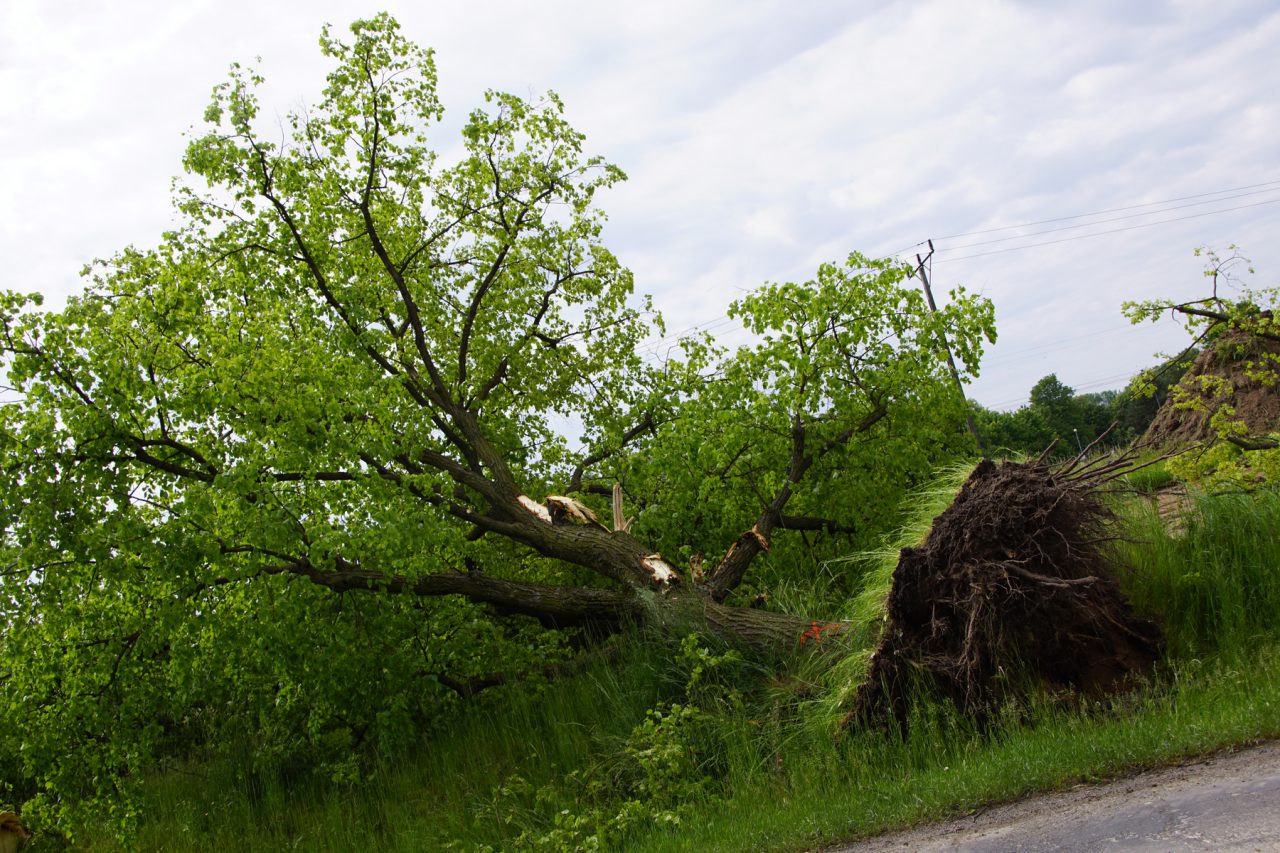 https://www.lublin112.pl/wp-content/uploads/2020/05/DSC03428-1280x853.jpg