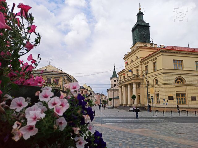 Kolorowe kwiaty w centrum Lublina. W mieście pojawi się około 6,5 tys. roślin (zdjęcia)