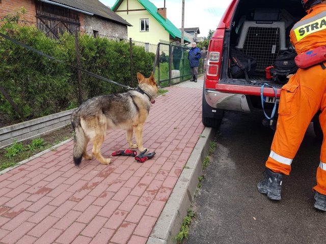 Dwie osoby mają znajdować się pod gruzami. Z Warszawy przyjechały psy mające pomóc w poszukiwaniach (zdjęcia)