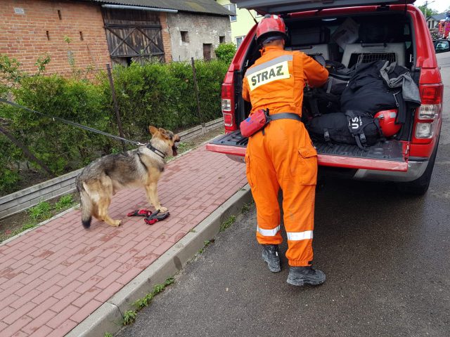 Dwie osoby mają znajdować się pod gruzami. Z Warszawy przyjechały psy mające pomóc w poszukiwaniach (zdjęcia)