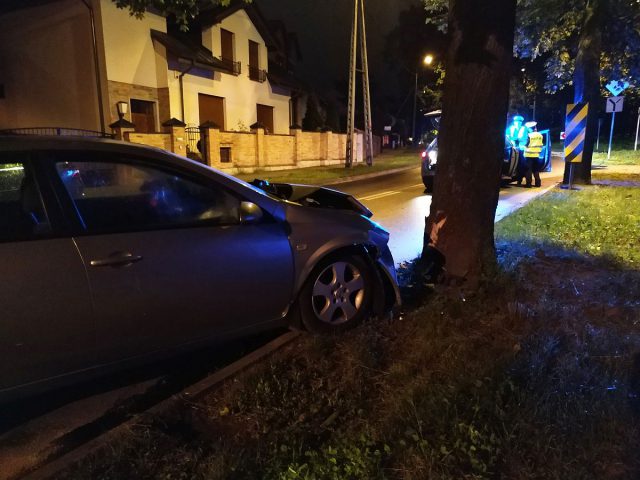 Nissan uderzył w drzewo. Kierowca był tak pijany, że nie był w stanie wysiąść (zdjęcia)