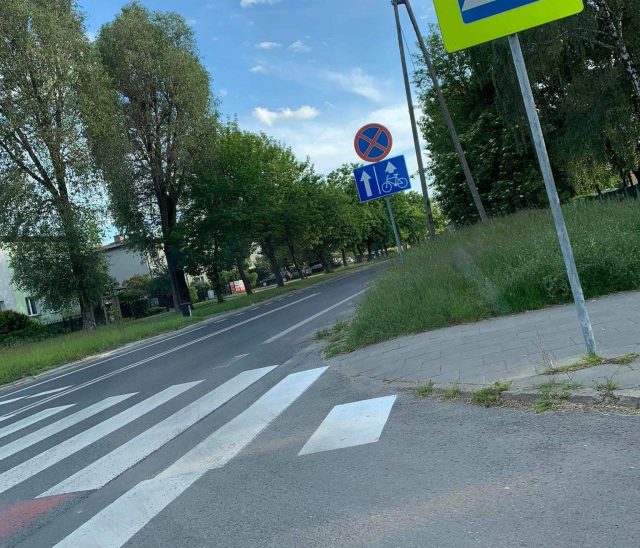 Sygnały od Czytelników. Wysokie trawy ograniczają kierowcom widoczność na ulicach Lublina (zdjęcia)