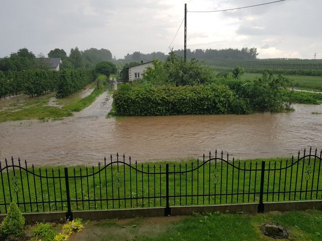 Kolejne zalania po ulewach w regionie. Przez sad płynęła rzeka, posesje i drogi pod wodą (wideo, zdjęcia)