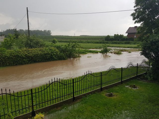 Kolejne zalania po ulewach w regionie. Przez sad płynęła rzeka, posesje i drogi pod wodą (wideo, zdjęcia)
