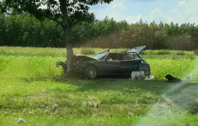 Nie dostosowała prędkości i techniki jazdy. BMW z impetem uderzyło w drzewo (zdjęcia)
