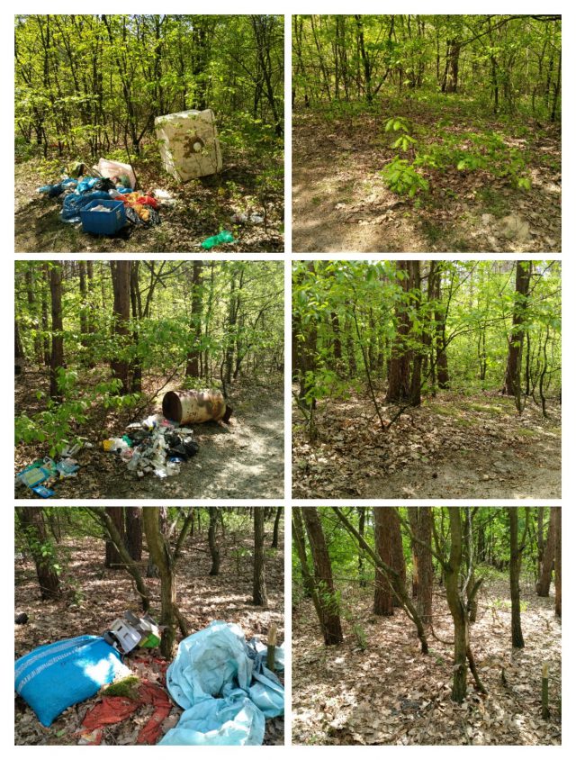 Wywiózł do lasu śmieci. Musiał je posprzątać i dostał mandat (zdjęcia)