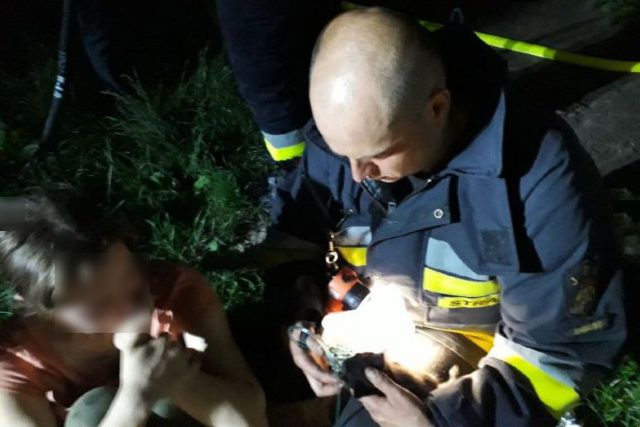 Z płonącego budynku strażacy wynieśli małe kocięta. Dzięki tlenoterapii jedno z nich uratowano (zdjęcia)