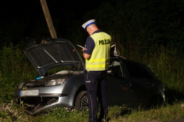 Kierowca skody, która zderzyła się z łosiem, stanie przed sądem. Miał dwa zakazy kierowania pojazdami (zdjęcia)