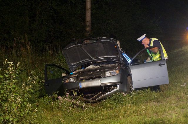 Kierowca skody, która zderzyła się z łosiem, stanie przed sądem. Miał dwa zakazy kierowania pojazdami (zdjęcia)