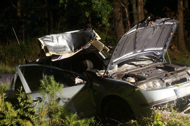 Skoda zderzyła się z łosiem. Trzy osoby zostały poszkodowane, jedna była uwięziona we wraku auta (zdjęcia)