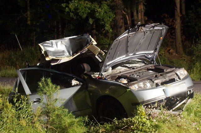 Skoda zderzyła się z łosiem. Trzy osoby zostały poszkodowane, jedna była uwięziona we wraku auta (zdjęcia)