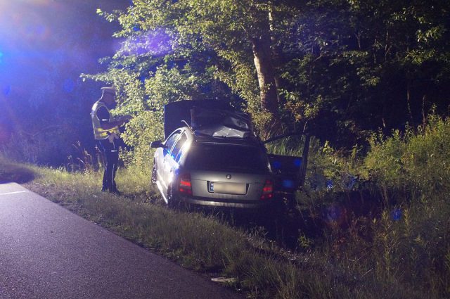 Skoda zderzyła się z łosiem. Trzy osoby zostały poszkodowane, jedna była uwięziona we wraku auta (zdjęcia)