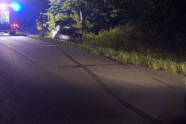 Skoda zderzyła się z łosiem. Trzy osoby zostały poszkodowane, jedna była uwięziona we wraku auta (zdjęcia)