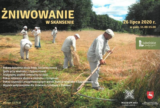 Żniwowanie w skansenie: Kosy i sierpy pójdą w ruch