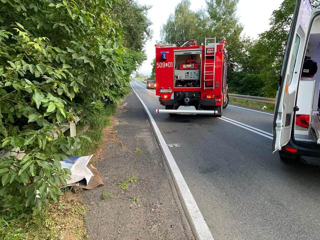 Volkswagen uderzył w drzewo. Kierowca i pasażer trafili do szpitala, od mężczyzn czuć było alkohol (zdjęcia)