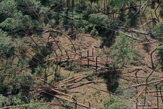 Nawałnica zniszczyła 158 ha lasu. Właśnie zakończono szacowanie szkód (zdjęcia)