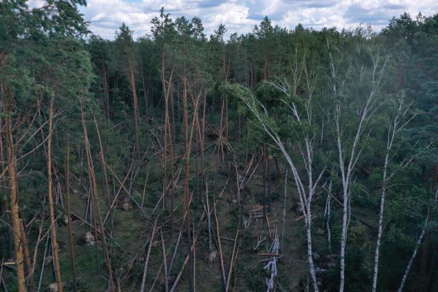 Nawałnica zniszczyła 158 ha lasu. Właśnie zakończono szacowanie szkód (zdjęcia)