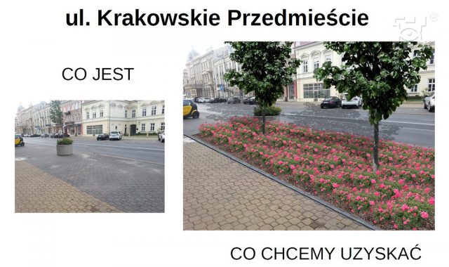 Centrum Lublina się zazieleni. Zamiast miejsc parkingowych będą drzewa, krzewy ozdobne i kwiaty