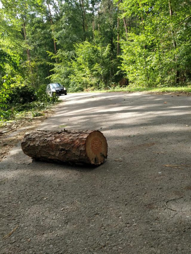 Na drogach układał kłody drzew, o mało nie doprowadził do wypadku. Został nagrany przez ukrytą kamerę (zdjęcia,wideo)