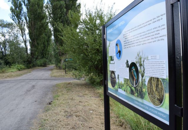 Spacer nad Wieprz może mieć edukacyjny charakter. Powstała ścieżka ekologiczna (zdjęcia)